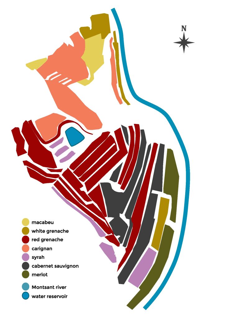varieties map mas del corral Celler Cesca Vicent Priorat